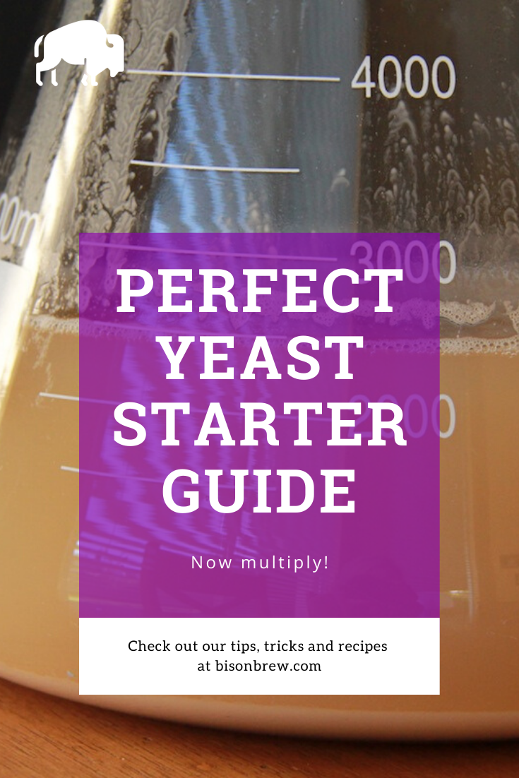 What is a yeast starter?